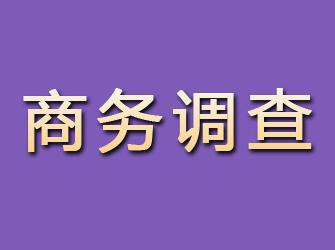 枣庄商务调查